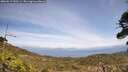 ./images/calvert/fitz-hugh-hecate/20260519/fitz-hugh-hecate20260519_140501M.jpg