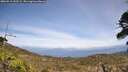 ./images/calvert/fitz-hugh-hecate/20260519/fitz-hugh-hecate20260519_143501M.jpg