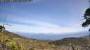 ./images/calvert/fitz-hugh-hecate/20260519/fitz-hugh-hecate20260519_144001M.jpg