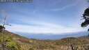 ./images/calvert/fitz-hugh-hecate/20260519/fitz-hugh-hecate20260519_144501M.jpg