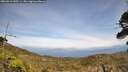 ./images/calvert/fitz-hugh-hecate/20260519/fitz-hugh-hecate20260519_145501M.jpg
