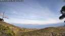 ./images/calvert/fitz-hugh-hecate/20260519/fitz-hugh-hecate20260519_151001M.jpg