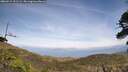 ./images/calvert/fitz-hugh-hecate/20260519/fitz-hugh-hecate20260519_151501M.jpg