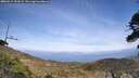 ./images/calvert/fitz-hugh-hecate/20260519/fitz-hugh-hecate20260519_152001M.jpg