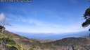 ./images/calvert/fitz-hugh-hecate/20260519/fitz-hugh-hecate20260519_154501M.jpg