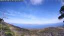 ./images/calvert/fitz-hugh-hecate/20260519/fitz-hugh-hecate20260519_155001M.jpg