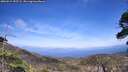 ./images/calvert/fitz-hugh-hecate/20260519/fitz-hugh-hecate20260519_155501M.jpg