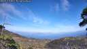 ./images/calvert/fitz-hugh-hecate/20260519/fitz-hugh-hecate20260519_163002M.jpg