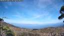 ./images/calvert/fitz-hugh-hecate/20260519/fitz-hugh-hecate20260519_165001M.jpg