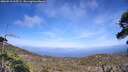 ./images/calvert/fitz-hugh-hecate/20260519/fitz-hugh-hecate20260519_165501M.jpg