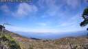 ./images/calvert/fitz-hugh-hecate/20260519/fitz-hugh-hecate20260519_170001M.jpg