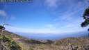 ./images/calvert/fitz-hugh-hecate/20260519/fitz-hugh-hecate20260519_170501M.jpg