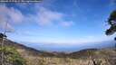 ./images/calvert/fitz-hugh-hecate/20260519/fitz-hugh-hecate20260519_173001M.jpg