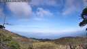 ./images/calvert/fitz-hugh-hecate/20260519/fitz-hugh-hecate20260519_174002M.jpg