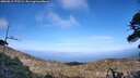 ./images/calvert/fitz-hugh-hecate/20260519/fitz-hugh-hecate20260519_175502M.jpg