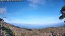 ./images/calvert/fitz-hugh-hecate/20260519/fitz-hugh-hecate20260519_180001M.jpg