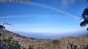 ./images/calvert/fitz-hugh-hecate/20260519/fitz-hugh-hecate20260519_185501M.jpg