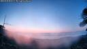 ./images/calvert/fitz-hugh-hecate/20260520/fitz-hugh-hecate20260520_051501M.jpg