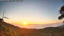 ./images/calvert/fitz-hugh-hecate/20260520/fitz-hugh-hecate20260520_055001M.jpg