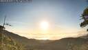 ./images/calvert/fitz-hugh-hecate/20260520/fitz-hugh-hecate20260520_065501M.jpg