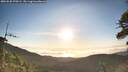 ./images/calvert/fitz-hugh-hecate/20260520/fitz-hugh-hecate20260520_070501M.jpg