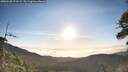 ./images/calvert/fitz-hugh-hecate/20260520/fitz-hugh-hecate20260520_071501M.jpg