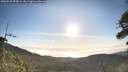 ./images/calvert/fitz-hugh-hecate/20260520/fitz-hugh-hecate20260520_073001M.jpg