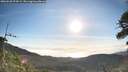 ./images/calvert/fitz-hugh-hecate/20260520/fitz-hugh-hecate20260520_074501M.jpg