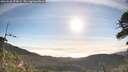 ./images/calvert/fitz-hugh-hecate/20260520/fitz-hugh-hecate20260520_075002M.jpg
