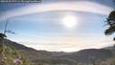 ./images/calvert/fitz-hugh-hecate/20260520/fitz-hugh-hecate20260520_075501M.jpg
