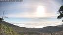 ./images/calvert/fitz-hugh-hecate/20260520/fitz-hugh-hecate20260520_082001M.jpg