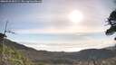 ./images/calvert/fitz-hugh-hecate/20260520/fitz-hugh-hecate20260520_082501M.jpg