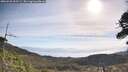 ./images/calvert/fitz-hugh-hecate/20260520/fitz-hugh-hecate20260520_092501M.jpg