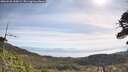 ./images/calvert/fitz-hugh-hecate/20260520/fitz-hugh-hecate20260520_100001M.jpg
