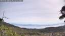 ./images/calvert/fitz-hugh-hecate/20260520/fitz-hugh-hecate20260520_104001M.jpg