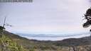 ./images/calvert/fitz-hugh-hecate/20260520/fitz-hugh-hecate20260520_104502M.jpg