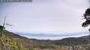 ./images/calvert/fitz-hugh-hecate/20260520/fitz-hugh-hecate20260520_105002M.jpg