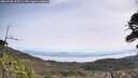 ./images/calvert/fitz-hugh-hecate/20260520/fitz-hugh-hecate20260520_105501M.jpg