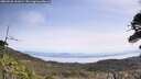 ./images/calvert/fitz-hugh-hecate/20260520/fitz-hugh-hecate20260520_111001M.jpg