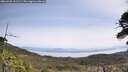 ./images/calvert/fitz-hugh-hecate/20260520/fitz-hugh-hecate20260520_111501M.jpg