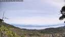 ./images/calvert/fitz-hugh-hecate/20260520/fitz-hugh-hecate20260520_112501M.jpg