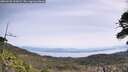 ./images/calvert/fitz-hugh-hecate/20260520/fitz-hugh-hecate20260520_113001M.jpg