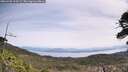 ./images/calvert/fitz-hugh-hecate/20260520/fitz-hugh-hecate20260520_114501M.jpg