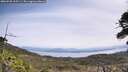 ./images/calvert/fitz-hugh-hecate/20260520/fitz-hugh-hecate20260520_115501M.jpg