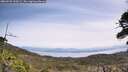 ./images/calvert/fitz-hugh-hecate/20260520/fitz-hugh-hecate20260520_120501M.jpg