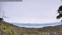 ./images/calvert/fitz-hugh-hecate/20260520/fitz-hugh-hecate20260520_125002M.jpg