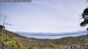 ./images/calvert/fitz-hugh-hecate/20260520/fitz-hugh-hecate20260520_133001M.jpg