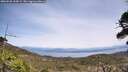 ./images/calvert/fitz-hugh-hecate/20260520/fitz-hugh-hecate20260520_134501M.jpg