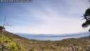 ./images/calvert/fitz-hugh-hecate/20260520/fitz-hugh-hecate20260520_135001M.jpg