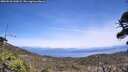 ./images/calvert/fitz-hugh-hecate/20260520/fitz-hugh-hecate20260520_140002M.jpg